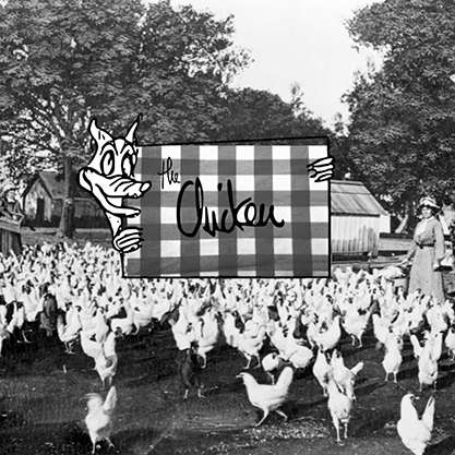 Shade Hadie The Chicken