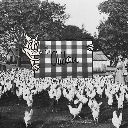Shade Hadie The Chicken