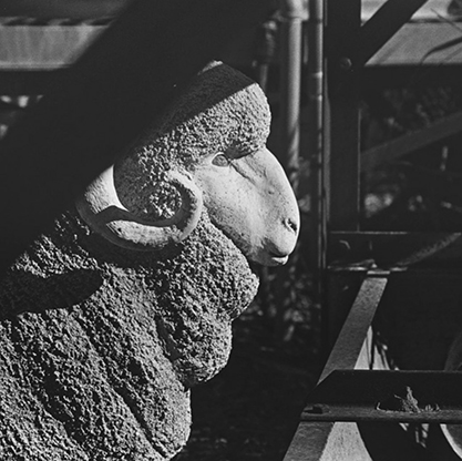 Shade Hadie Live Sounds at The Royal Theatre